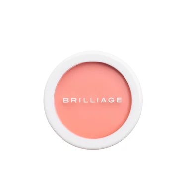 ブリリアージュ(BRILLIAGE) カモフラージュ コンシーラーチーク(チーク
